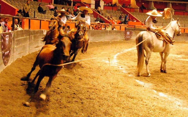 Lienzos charros